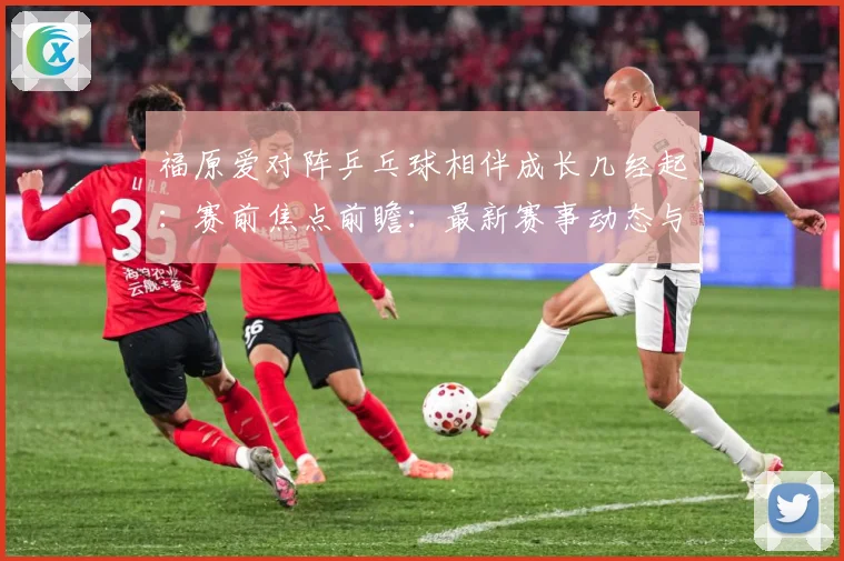 福原爱对阵乒乓球相伴成长几经起：赛前焦点前瞻：最新赛事动态与深度分析